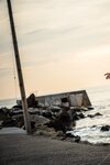 [Photobook] 【電子版だけのオール未公開カット】永岡怜子「花一華－ｋａｒｅｎ－」　週刊現代デジタル写真集