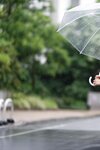 [FLASH Photobook] Umi Shinonome 東雲うみ - Private observation プライベート観撮 (2022-11-01)