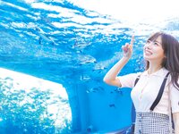 [Photobook] 齊藤京子1st写真集 とっておきの恋人+Postcard
