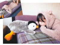 [Photobook] 齊藤京子1st写真集 とっておきの恋人+Postcard