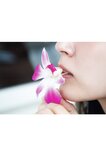 [Photobook] Airi Suzuki 鈴木愛理 - nectar (2022-11-17)