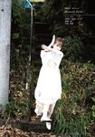 [Shonen Magazine] 2020 No.52 (小池美波 渡辺梨加 守屋麗奈)