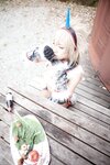 [Cosplay] (C85) Usagi うさぉ HUNTER+U