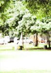 2012.05.27 杉本有美 写真集 Deep Breath