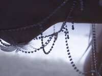 [Cosplay] 阿薰kaOri 多情的天使 [242P7V-4GB]