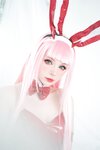 [Cosplay] Peach milky - ZeroTwo