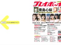 [Weekly Playboy] 2025.11.17 No.45-46 豊島心桜 蒔埜ひな 姫野ひなの 平嶋夏海 青井春 さくらもも 星名美津紀 木部桃花