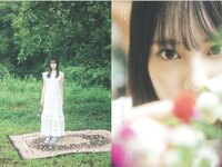 [Weekly Playboy] 2025.11.03 No.44 大野愛実 藤嶌果歩 松尾桜 青山ひかる 葵成美 倉沢しえり