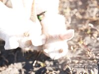 FRIDAYデジタル写真集 小日向ゆか Soleil オール未公開スペシャルEdition vol.2[113P]