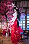 [Cosplay] 日奈娇 碧蓝航线 大山 兔女郎 [46P-376MB]