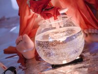 [Cosplay] 小和甜酒 楪祈 [59P1V-382MB]