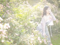 [Cosplay] 皮皮奶可可爱了啦 蔷薇花 [37P-269MB]