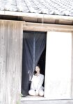 [Photobook] KISEKI Vol.1 木下凛々子デジタル写真集