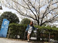 [G-Area] No. 524 Rena