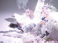 [Cosplay] 矢量鱼 蔚蓝档案 圣园未花 [27P-327MB]