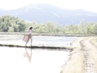[Photobook] 平塚千瑛「CHIAKI完全未発表版」