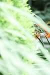 [Photobook] 週刊ポストデジタル写真集 戸田れい 夢なら醒めないで ( 2019-09-02)