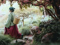 [Cosplay] 矢量鱼 药屋少女的呢喃 猫猫 [52P-327MB]