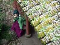 [Cosplay] 矢量鱼 药屋少女的呢喃 猫猫 [52P-327MB]