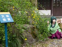 [Cosplay] 矢量鱼 药屋少女的呢喃 猫猫 [52P-327MB]