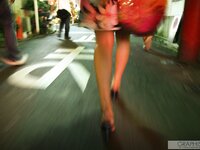[Graphis] Limited Edition – Honoka 穂花
