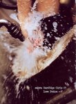 [Photobook] 堀口としみ sabra別冊 LOVE POTION