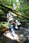 [Cosplay][nonsummerjack] non - Hunter.R