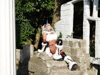 [Cosplay][nonsummerjack] non - Hunter.R