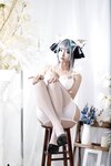 [Cosplay] 洛璃LoLiSAMA 碧蓝航线 柴郡同人内衣 [66P-764MB]