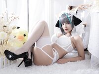[Cosplay] 洛璃LoLiSAMA 碧蓝航线 柴郡同人内衣 [66P-764MB]