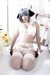 [Cosplay] 洛璃LoLiSAMA 碧蓝航线 柴郡同人内衣 [66P-764MB]