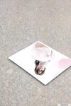 [Graphis] Gals – Riho Fujimori 藤森里穂 Looks hot on you! vol.7