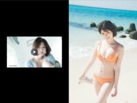 [WPB Photobook] 2th Anniversary digest catalog 4周年記念「＋Special」ダイジェストカタログ lite edition