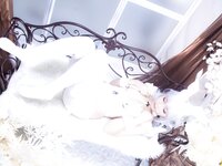 [Cosplay] 洛璃LoLiSAMA 碧蓝航线 恶毒兔女郎 [51P-731MB]
