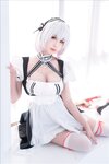 [Cosplay] 西园寺南歌 女仆本 天狼星 [35P-162MB]
