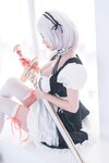 [Cosplay] 西园寺南歌 女仆本 天狼星 [35P-162MB]