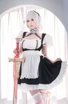 [Cosplay] 西园寺南歌 女仆本 天狼星 [35P-162MB]