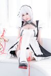 [Cosplay] 西园寺南歌 女仆本 天狼星 [35P-162MB]