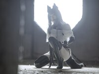 [Cosplay] 刺青Poi 驯养 [60P-715MB]