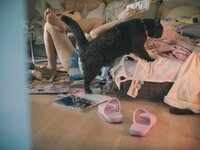 [Cosplay] 神沢永莉 别当欧尼酱 [55P3V-1.05GB]