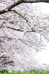 [Photobook] Sumire Kuramoto 倉本すみれ - Youth #Aoharu 青春#アオハル