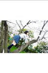 [Photobook] Sumire Kuramoto 倉本すみれ - Youth #Aoharu 青春#アオハル