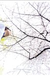 [Photobook] Sumire Kuramoto 倉本すみれ - Youth #Aoharu 青春#アオハル