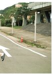 [Photobook] 岡田紗佳写真集 嶺上開花 Another Edition