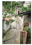 [Photobook] 岡田紗佳写真集 嶺上開花 Another Edition