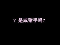 [Cosplay] 西园寺南歌 电车物语[145P10V-2.39G]