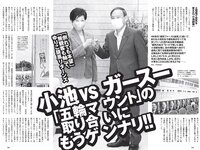 [Weekly Playboy] 2021 No.30 井桁弘恵 カエデフェニックス 鬼頭明里 高崎かなみ 中村守里 水崎綾女 海里 他