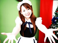[X-City] 2007.10.11 Star Cats 写真館 vol.008 あいみ 星野あかり 長谷川ちひろ 糸矢めい