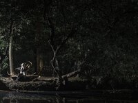[Cosplay] Cien恩恩 明日方舟闪灵 [14P-37MB]