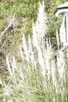Platinum FLASHデジタル写真集 永尾まりや Time Goes Around